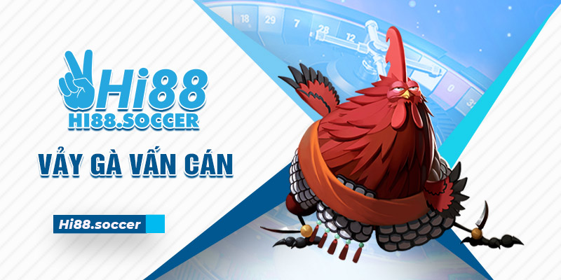Vảy Gà Vấn Cán - Đặc Điểm Vảy Gà Độc Và Hiếm Nhất 2024 4 vảy gà vấn cán