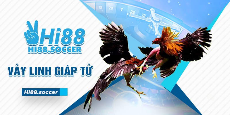 Vảy Linh Giáp Tử - 3 Tiêu Chí Đánh Giá Sức Mạnh Gà Chiến 3 vảy linh giáp tử
