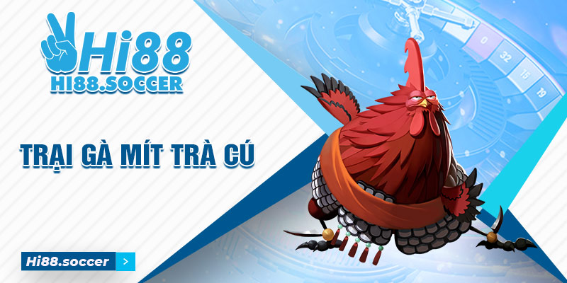Bật Mí Trại Gà Mít Trà Cú Có Quy Mô Khủng Nhất Tại Miền Tây 2 Trại gà mít trà cú